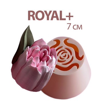 Тюльпани ROYAL+ 7 см діаметр