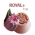 Тюльпани ROYAL+ 7 см діаметр
